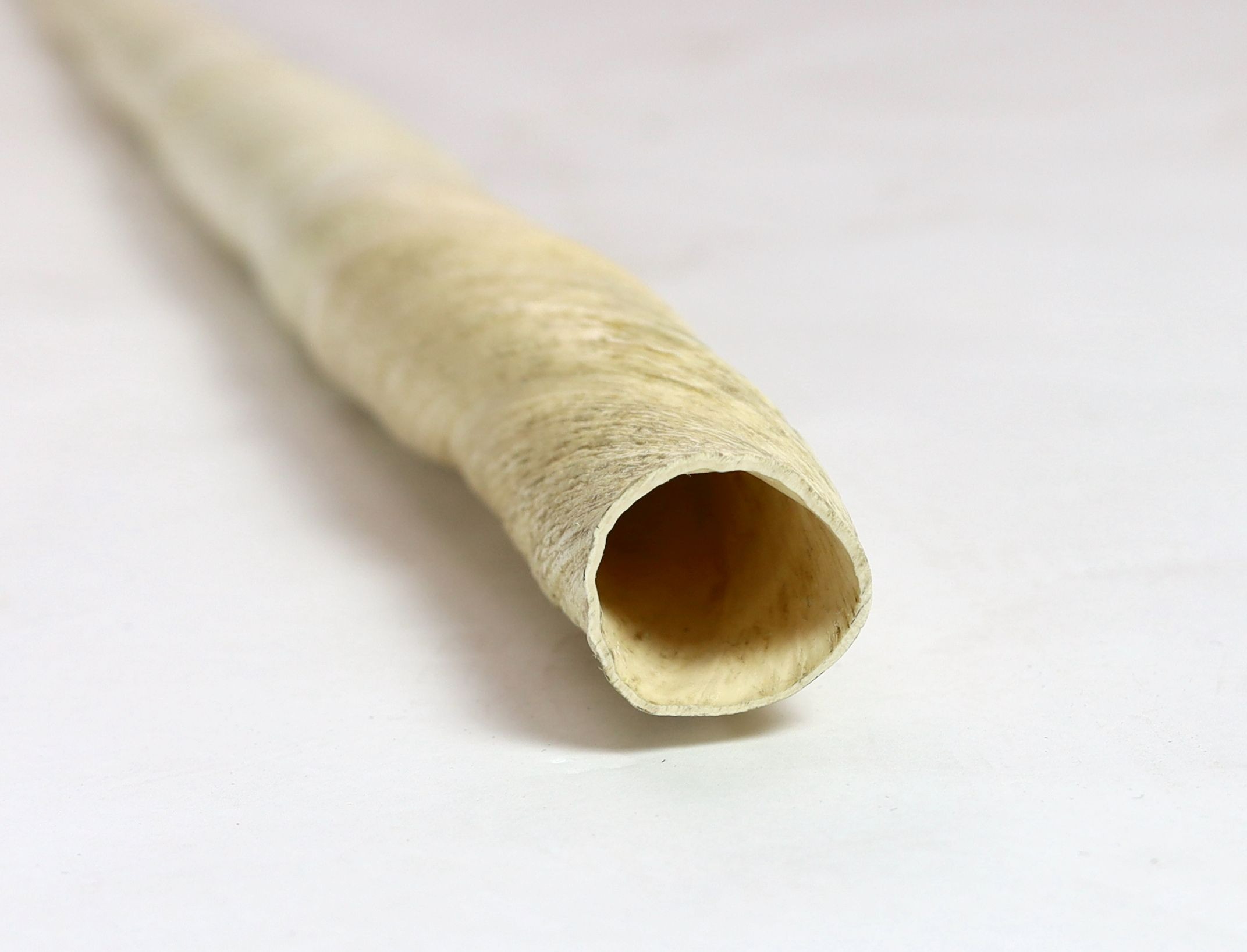 A large unworked Narwhal tusk, c.1970, 257 cm long (8ft 5.5in.)